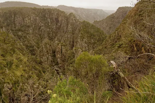 Dangar Gorge (5)